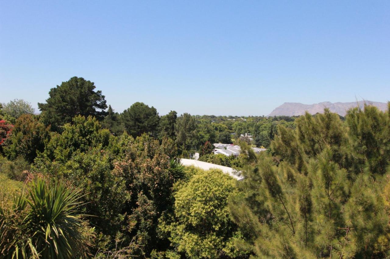 Alphen Drive Apartments Κέιπ Τάουν Εξωτερικό φωτογραφία